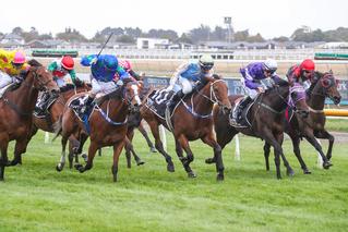 Out Of The Park (NZ) claims G3 South Island Thoroughbred Breeders. Photo: Race Images South.